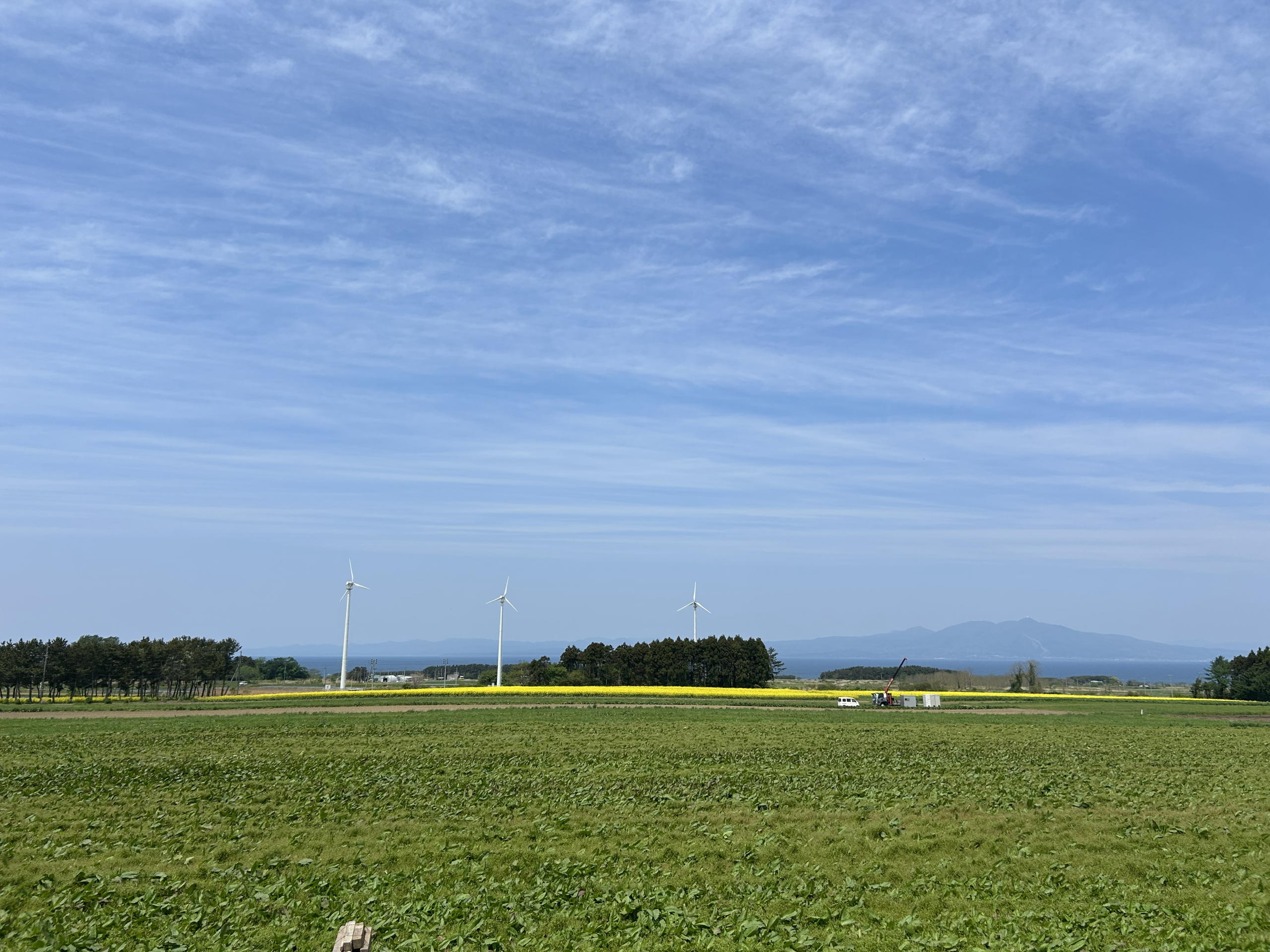 行橋市の不動産なら!合同会社マユミ不動産(ただいま開業準備中)